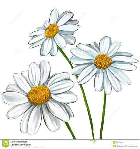 daisy flower drawing